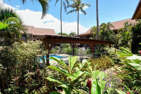 Tropical Pool Views Through Lush Greenery