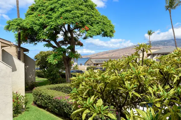 Peaceful Garden Path With Mountain Views