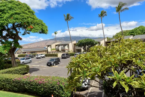Lush Tropical Grounds With Aloha Charm