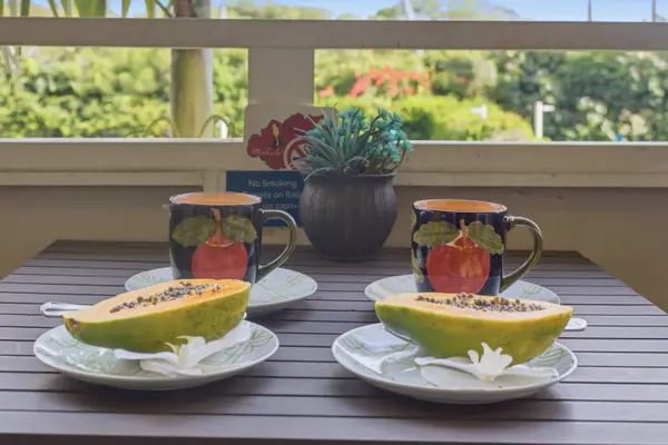 Your Private Slice of Paradise