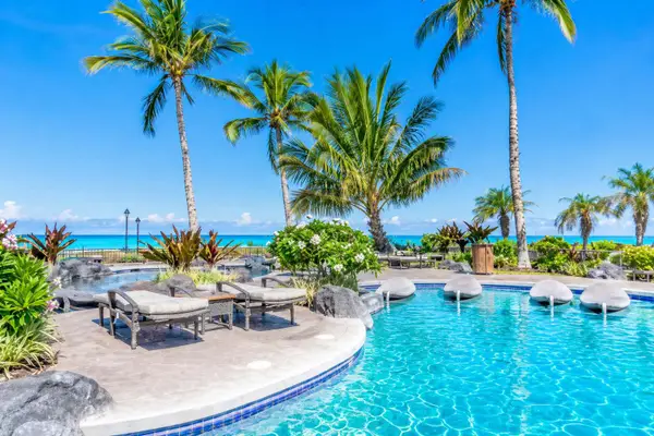 Resort-Style Oceanfront Pool surrounded by Palm Trees
