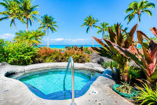 Oceanfront Hot Tub surrounded by Tropical Palms and Lush Landscaping