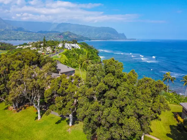 Bird’s-eye home view reveals rooftops, tropical foliage, and surrounding ocean