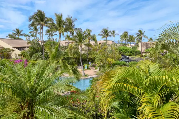 Tropical Surroundings Await