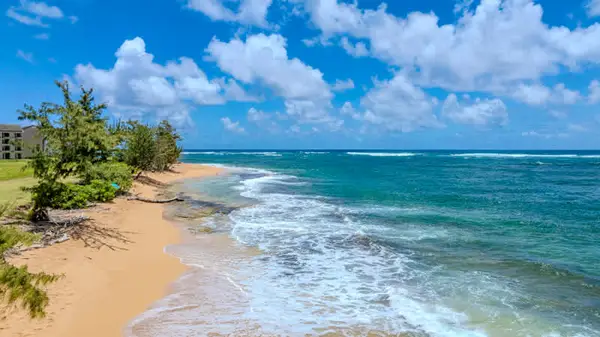 Tropical coastline and sandy beach steps from property