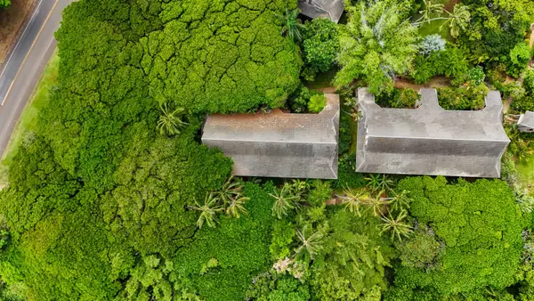 Welcome to the lush paradise of Waikomo Streams