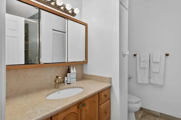 Bathroom vanity with mirrored cabinet and toilet area