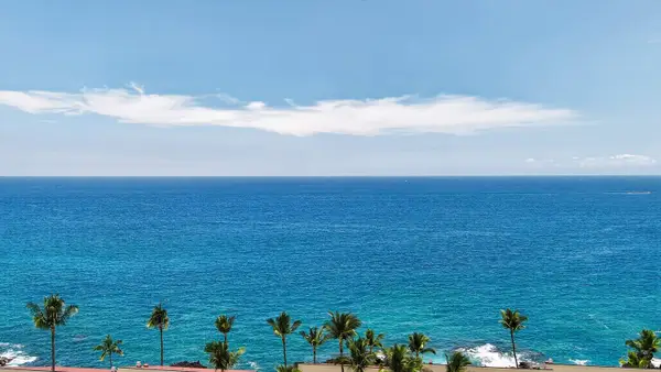 Panoramic ocean view framed by tropical palm trees and blue skies
