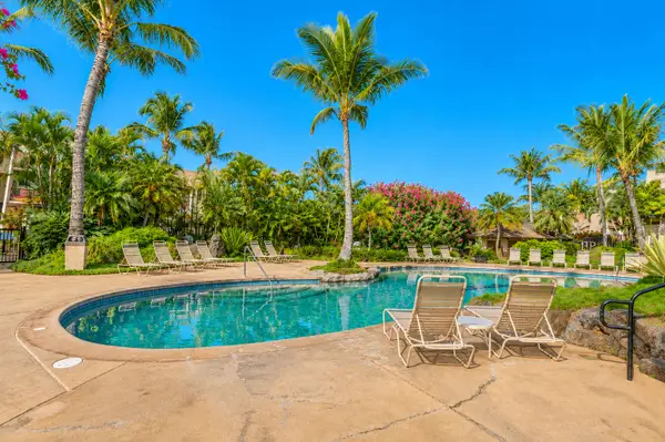 Resort pool sparkles beside palms with inviting loungers and water