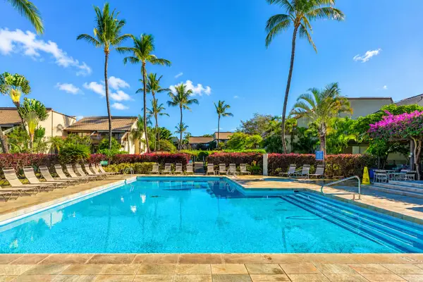 Sparkling resort pool beside palms creates refreshing afternoons under skies