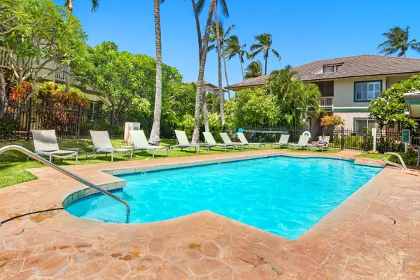 Tropical Pool with Loungers and Palm Tree Views