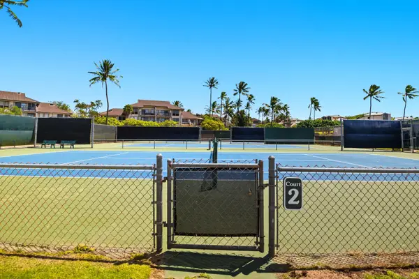 Community Tennis Courts with Palm Tree Skyline