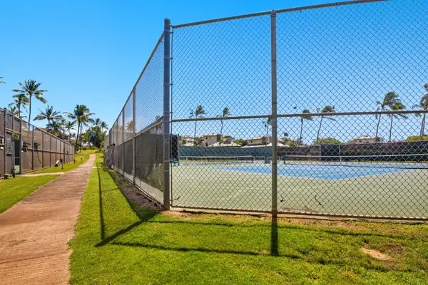 Community Tennis Court with Palm Tree Surroundings