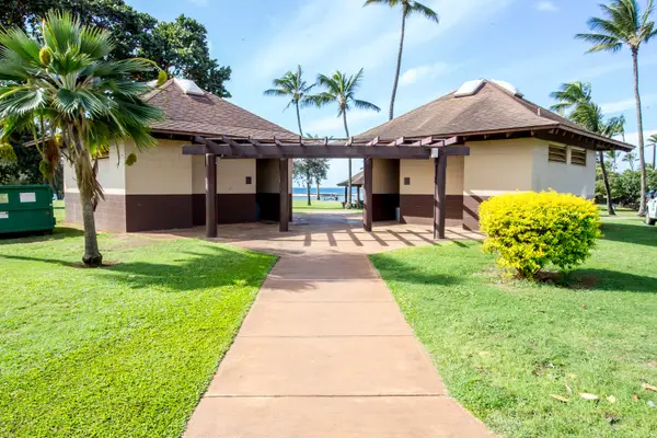 Beach Pavilion Walkway Framed by Palm Trees
