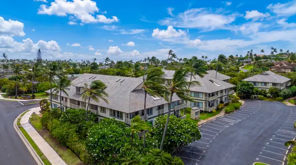 Aerial View of the Estate Surrounded by Palm Trees