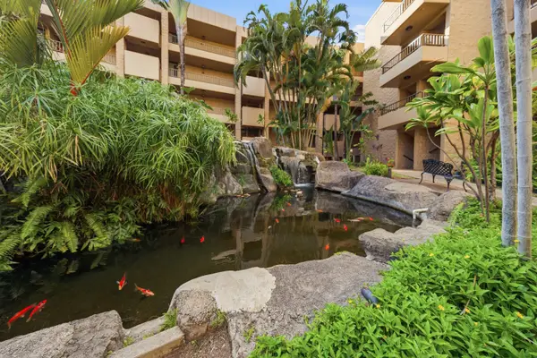 Paki Maui P302A – Oceanfront Studio