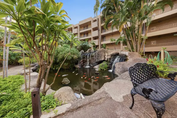 Paki Maui 314