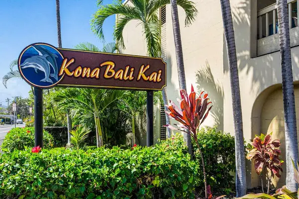 Kona Bali Kai 367
