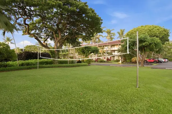 Volleyball net