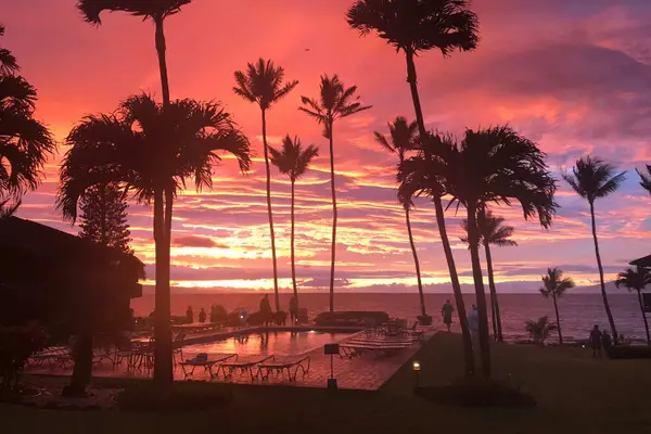 Mahina Surf 203