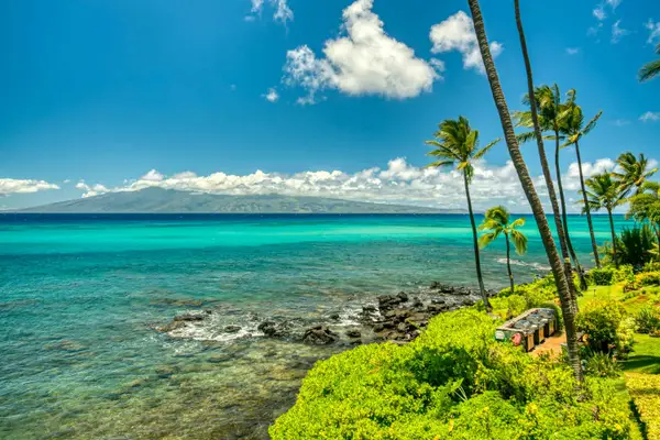 Mahina Surf 203