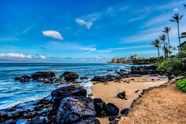 Mahina Surf 203