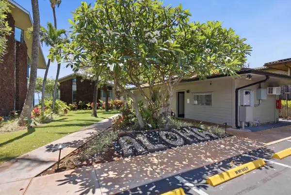 Mahina Surf 111
