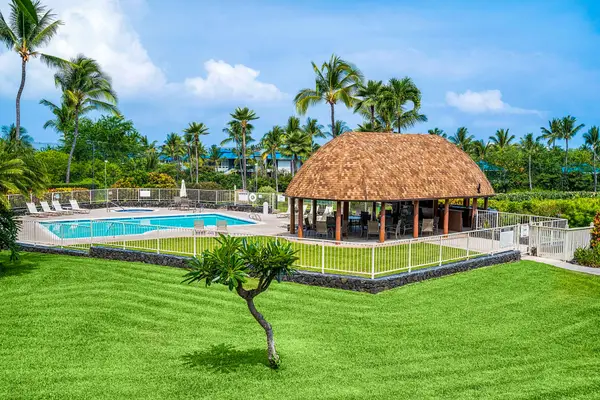 Outdoor lawn and poolside pavilion surrounded by palm trees