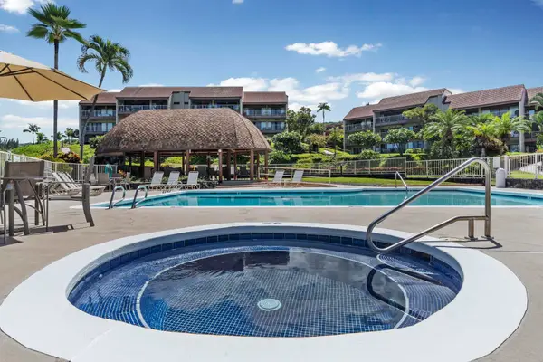 Resort swimming pool with hot tub and palm trees