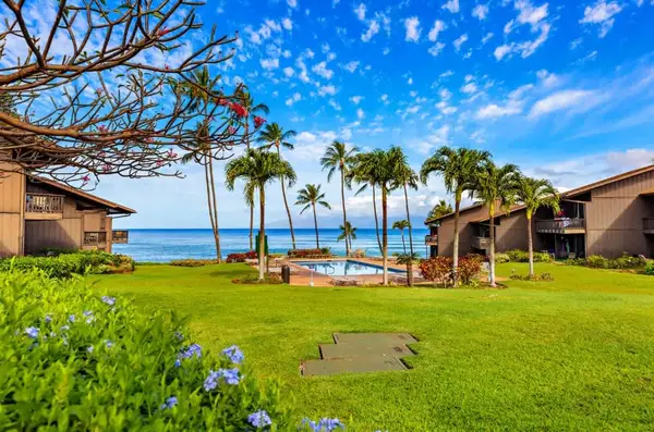 Mahina Surf 111