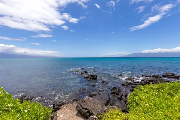 Mahina Surf 102