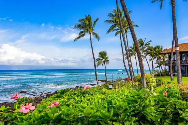 Mahina Surf 102