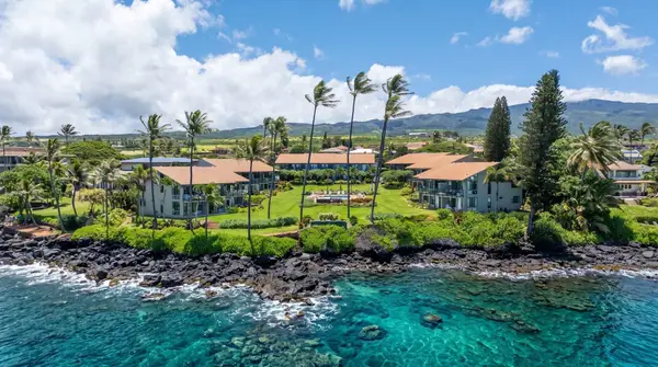 Mahina Surf 111