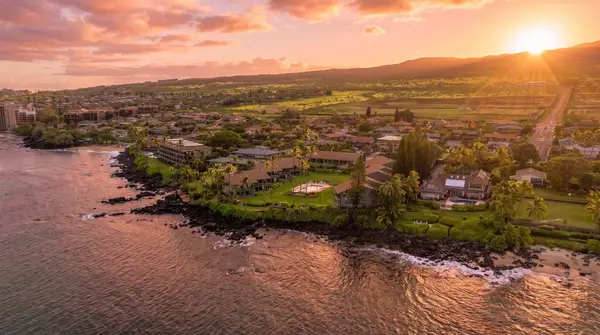 Mahina Surf 111
