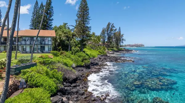 Mahina Surf 219