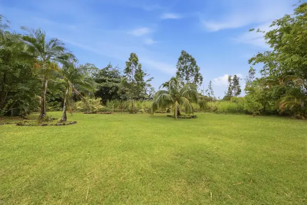 Island Rainforest Grove – Two comfortable homes on one spacious lot that are close to beaches and waterfalls!