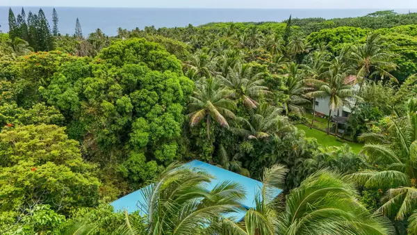 Tranquil Island Escape at Kehena Beach
