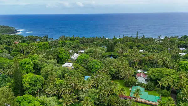 Tranquil Island Escape at Kehena Beach
