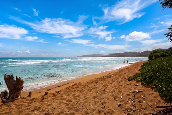 Islander on the Beach 370