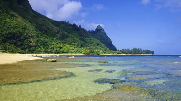 Sealodge at Princeville J3