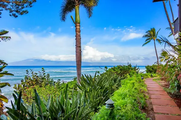Mahina Surf 219