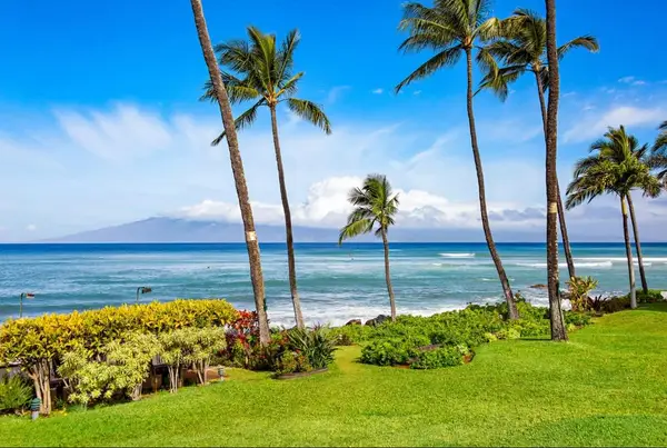 Mahina Surf 216
