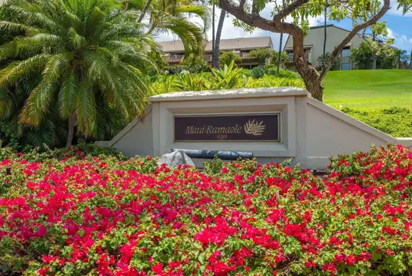 Maui Kamaole K205