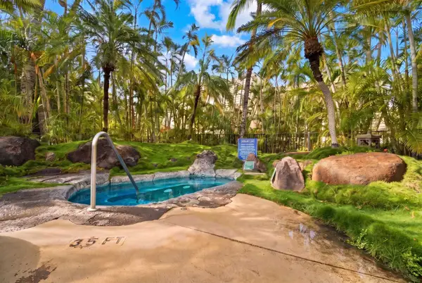 Maui Kamaole K205