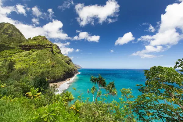 Kauai Kailani 319