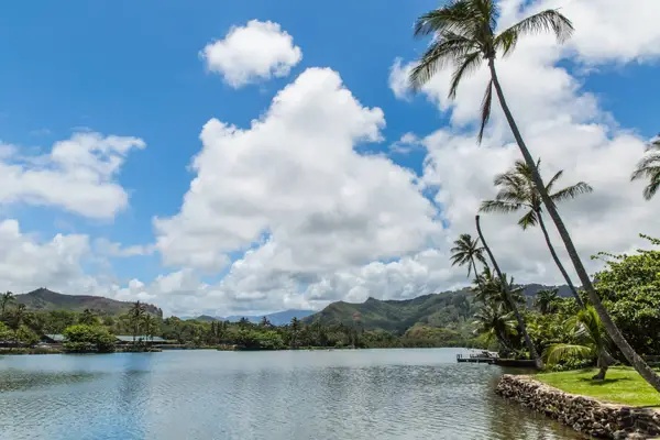 Kauai Kailani 103