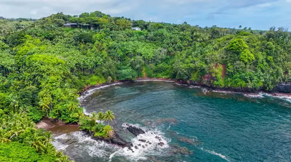 Big Island Hilo Tropical Oasis
