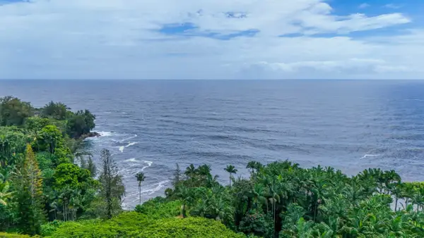 Big Island Hilo Tropical Oasis