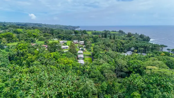 Big Island Hilo Tropical Oasis