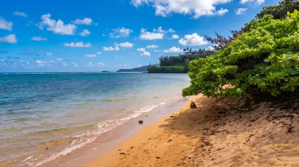 Ka Hale Olu at Anini Beach TVNC#4218
